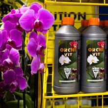 2,5 Liter HESI OrchiVit Orchideen-D�nger Speziald�nger Fl�ssigd�nger f�r Orchideen