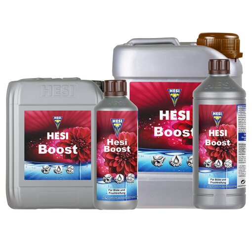 HESI Boost