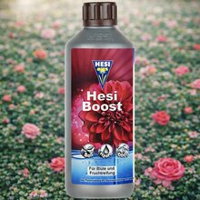 HESI Boost Bl�ted�nger 0,5 Liter