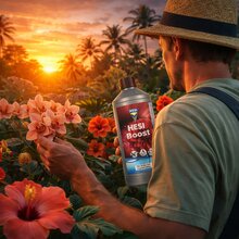 HESI Boost Bl�ted�nger 0,5 Liter