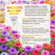 HESI Balcony Bloom Elixir Balkonblumen-Dünger Blütenpracht