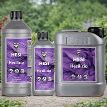 HESI Hesilicio Silizium Booster
