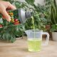 500 ml HESI House Plant Elixir Zimmerpflanzen-Dünger incl. Messbecher