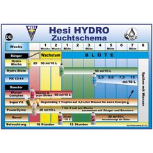 HESI Boost Bl�ted�nger Bl�hbescheuniger + Ernteschere inklusive