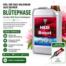 2,5 l HESI Boost Bl�ted�nger Bl�hbescheuniger + Ernteschere