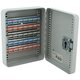 BASI® Schlüsselschrank 35 - 100 - 150 - 200 Haken SS 100 PZ